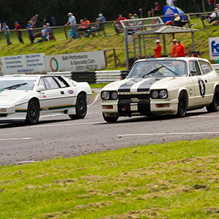 Scimitar